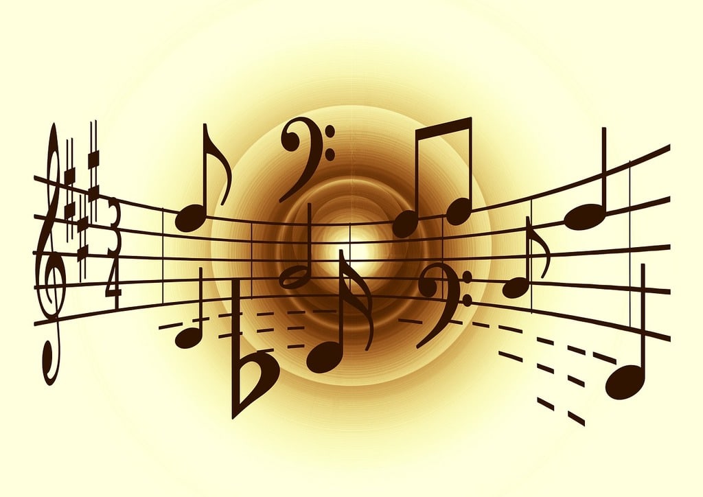 Cours d'accordéon pour débutant : libérez votre créativité musicale